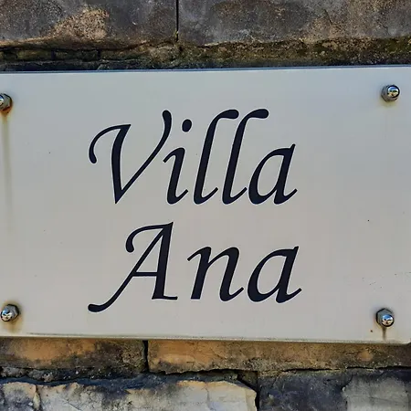 Ana Вилла